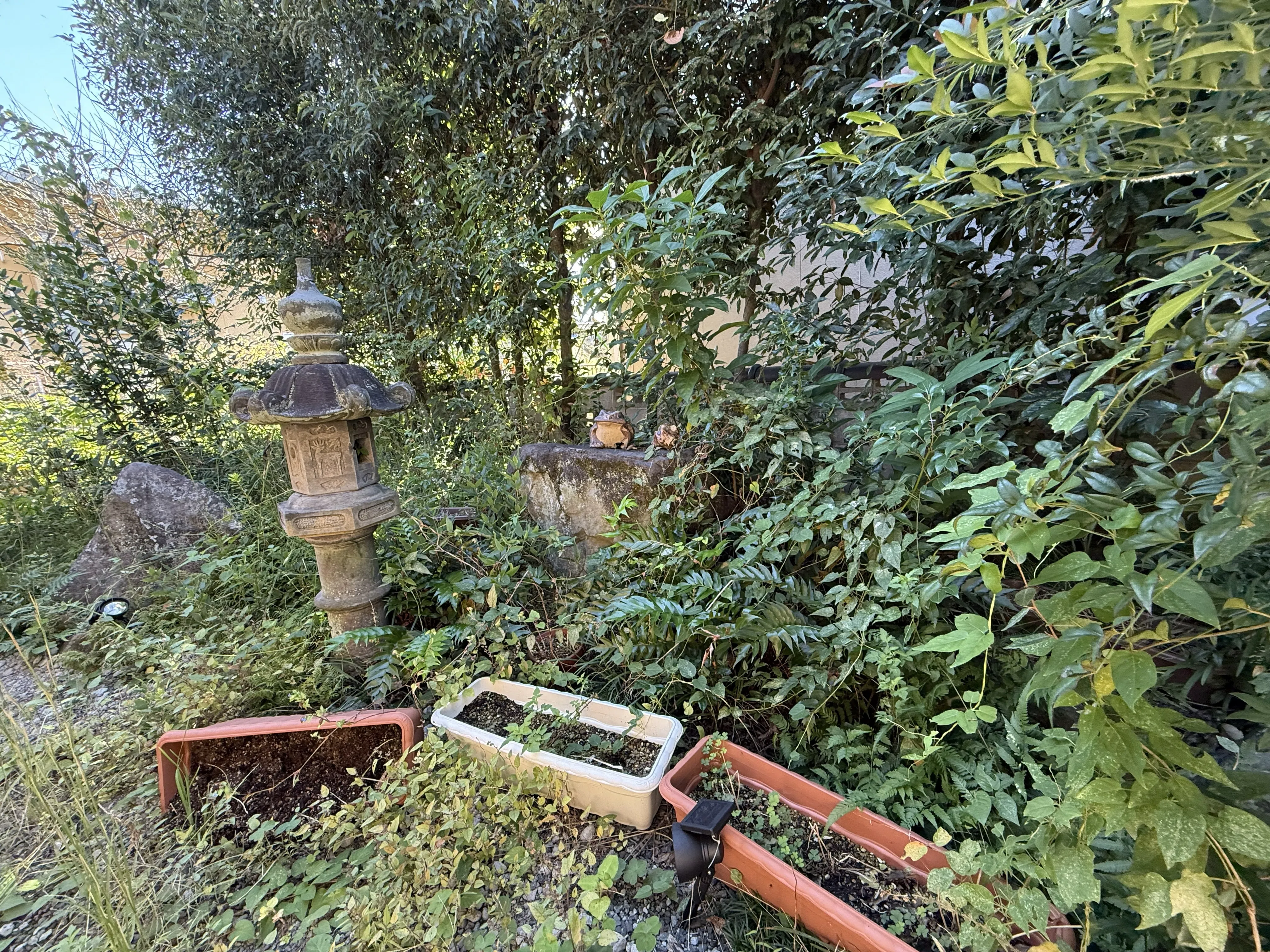 山猫美掃舎 上益城郡御船町 草刈り作業前