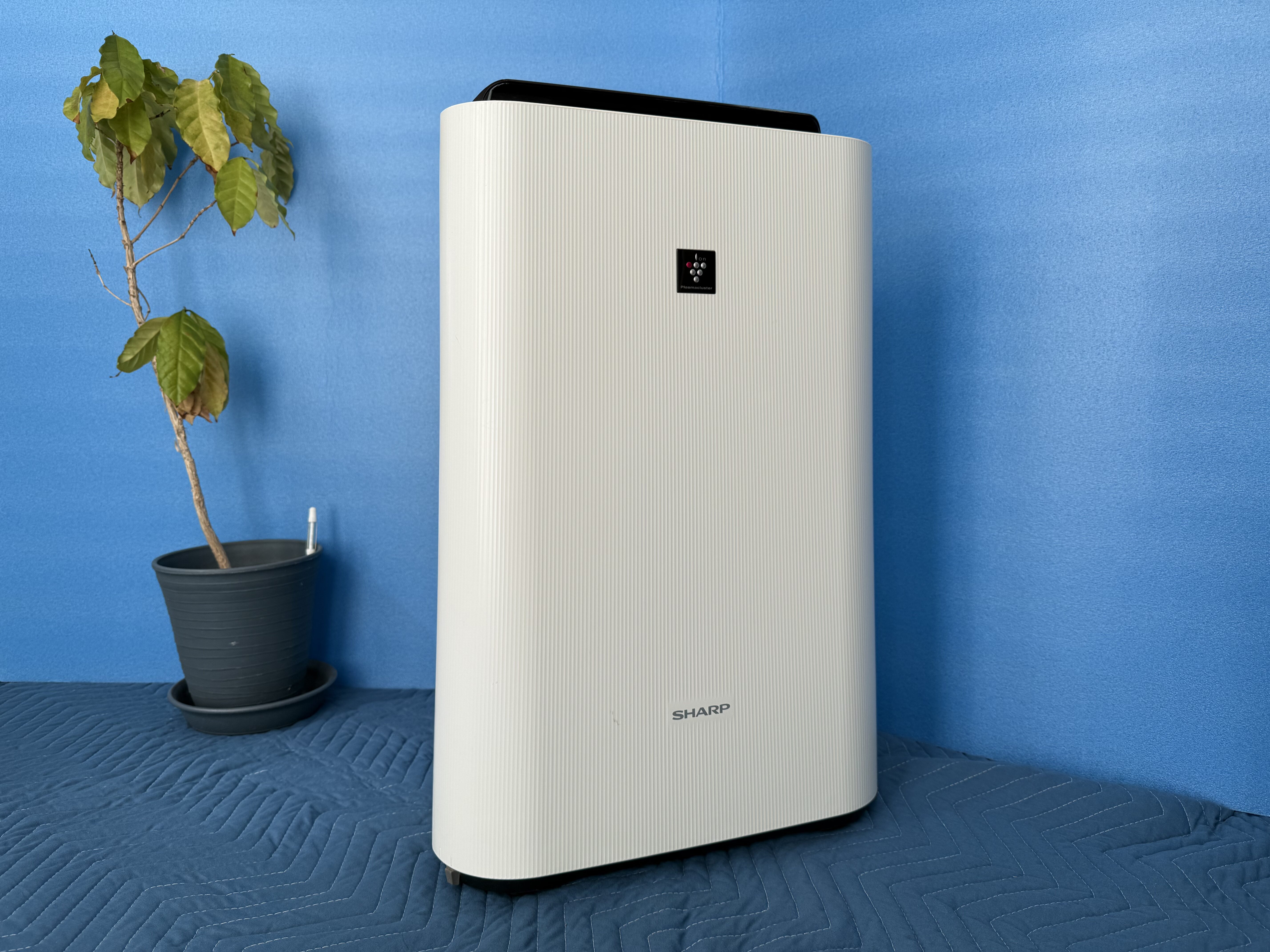 熊本市東区長嶺東 空気清浄機クリーニング 洗浄後