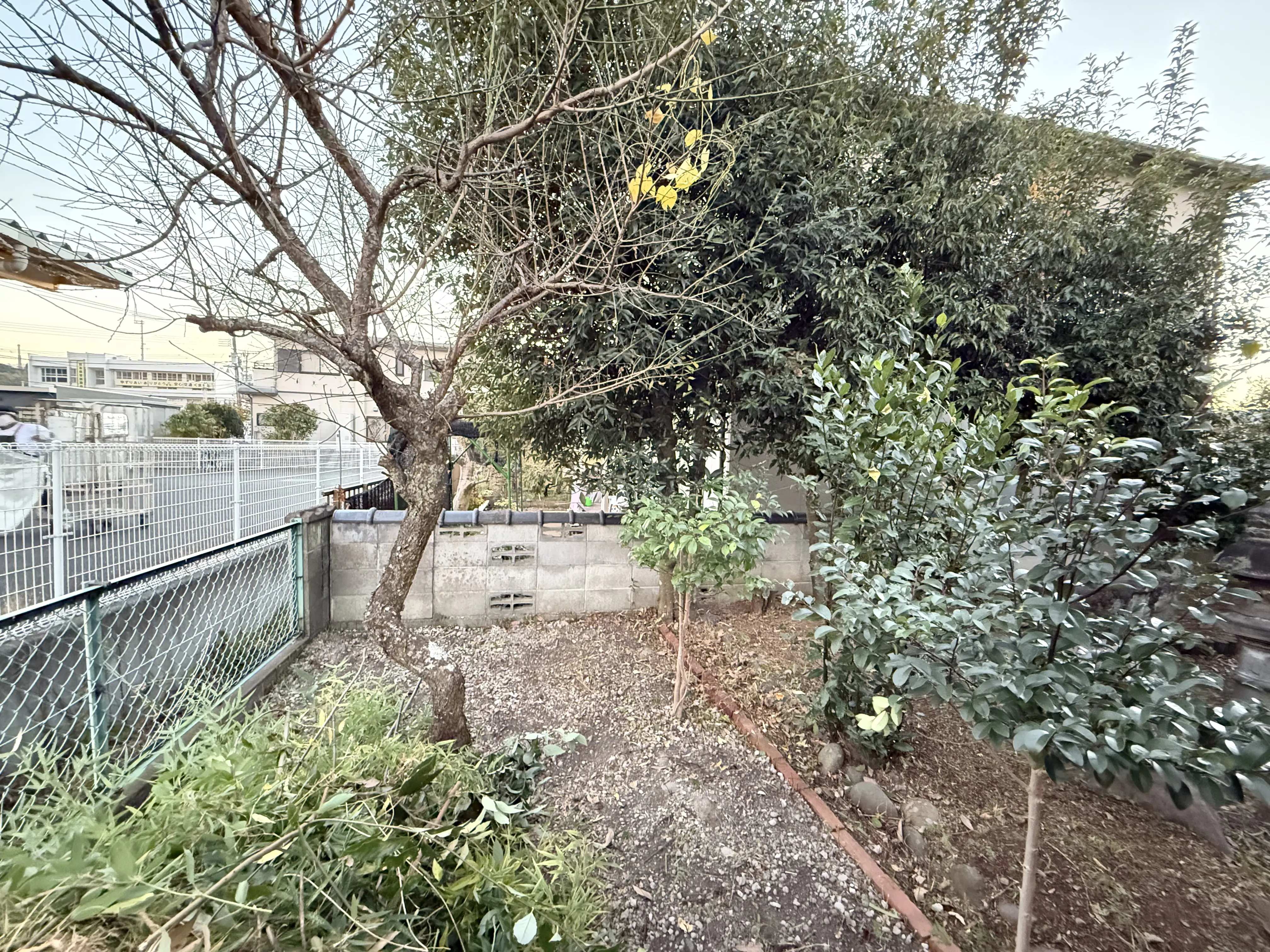 上益城郡御船町 庭木剪定作業中の様子