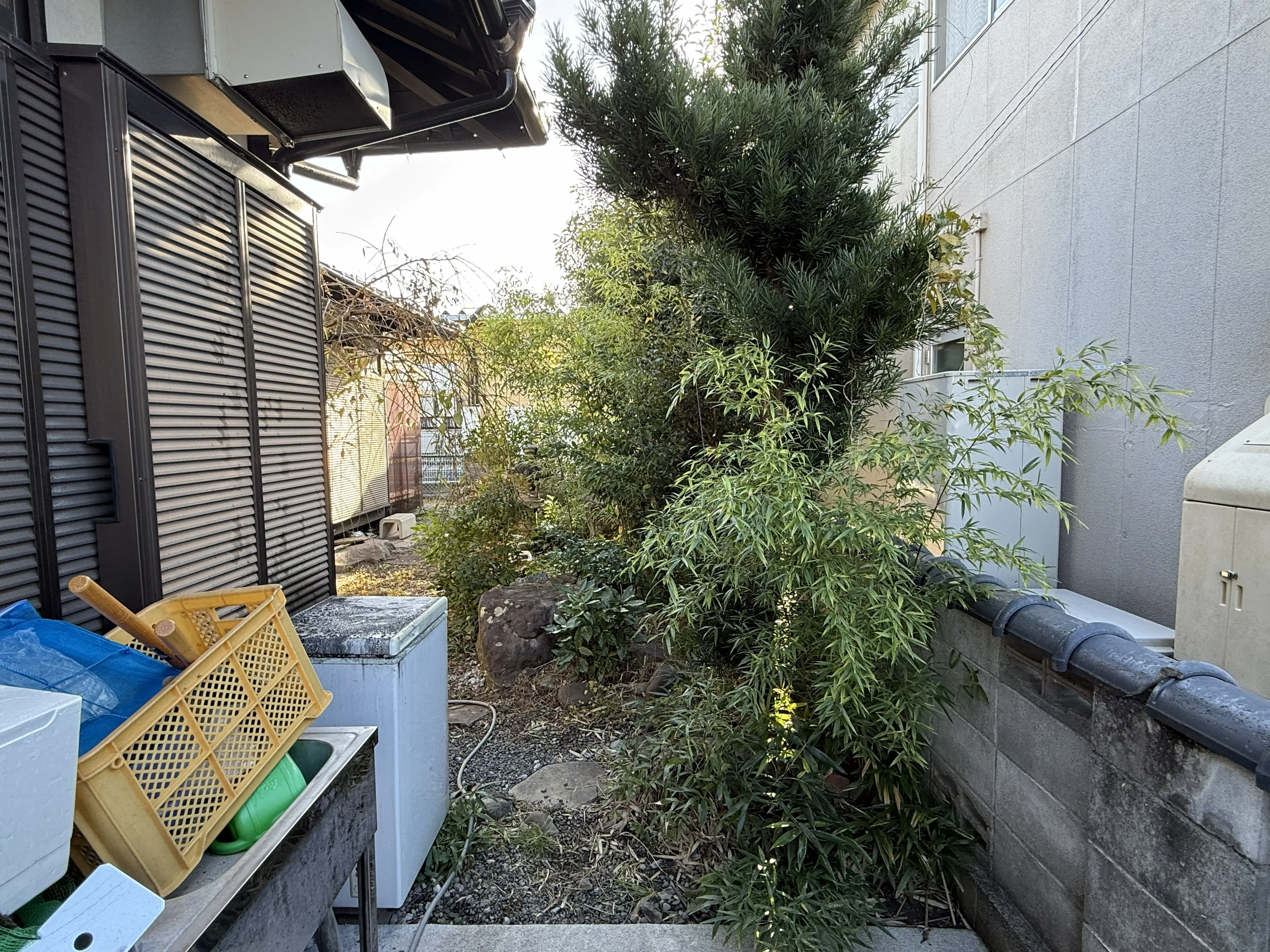 山猫美掃舎 上益城郡御船町 草刈り作業前